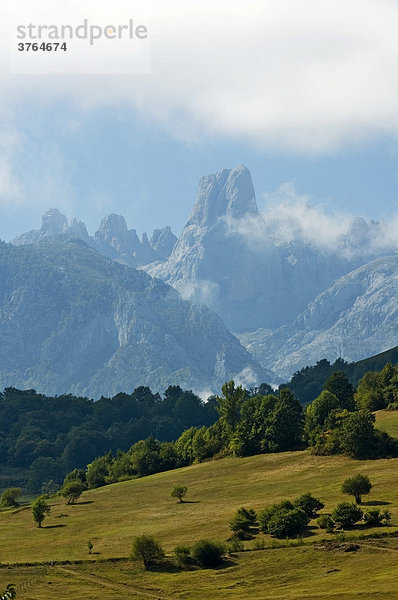 Picos de Europa  Asturien  Spanien