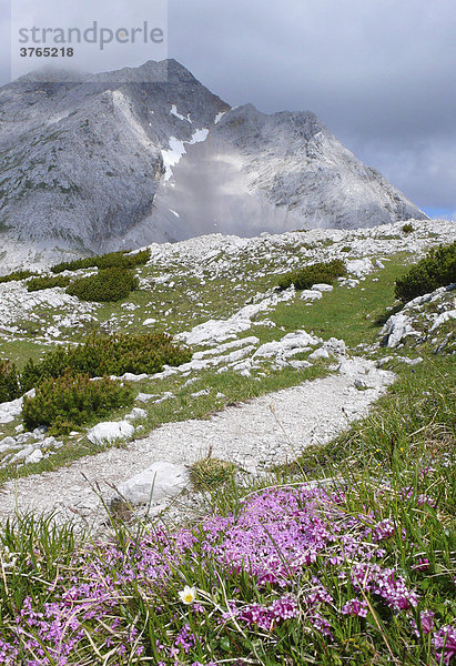 Wanderweg im Karwendelgebirge  Tirol  Österreich