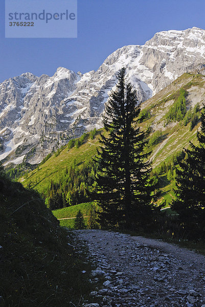 Wanderweg  Berchtesgadener Alpen  Bayern  Deutschland