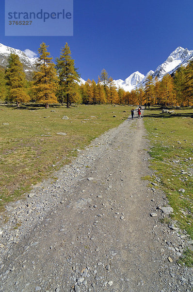 Meraner Höhenweg  Schnalstal  Pfossental Texelgruppe  Südtirol  Italien