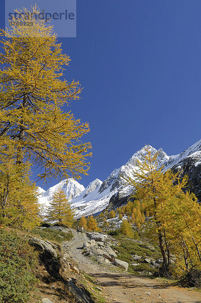 Wanderweg  Texelgruppe  Südtirol  Italien