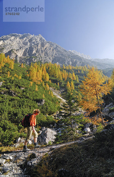 Frau beim Wandern vor dem Elferkofel  Fischleintal  Sextener Dolomiten  Südtirol  Italien