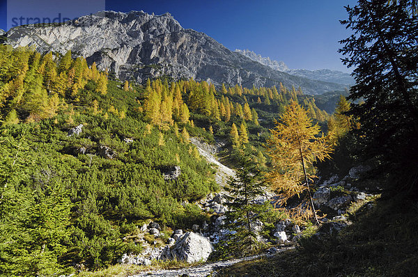 Elferkofel  Fischleintal  Sextener Dolomiten  Südtirol  Italien