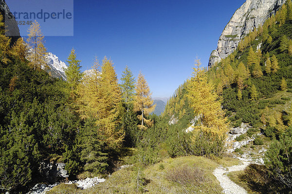 Fischleintal  Sextener Dolomiten  Südtirol  Italien