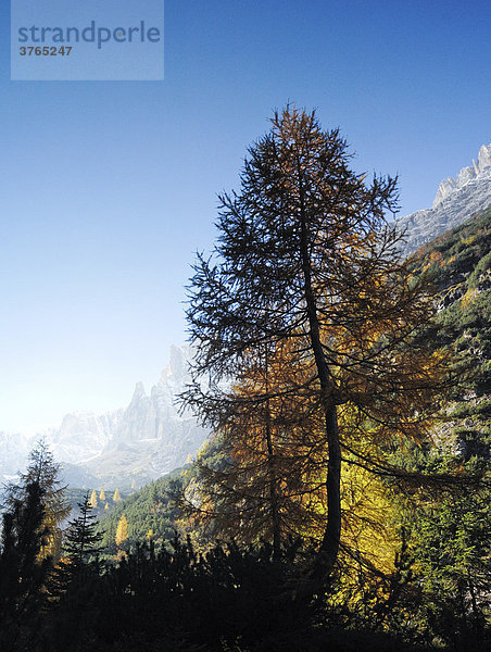 Fischleintal  Sextener Dolomiten  Südtirol  Italien
