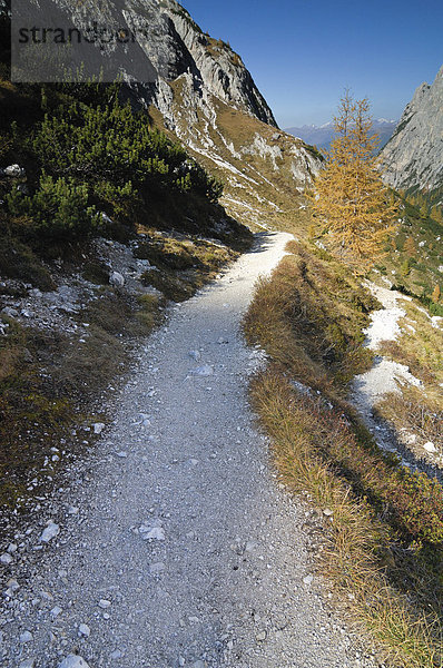 Wanderweg Bacherntal  Sextener Dolomiten  Südtirol  Italien