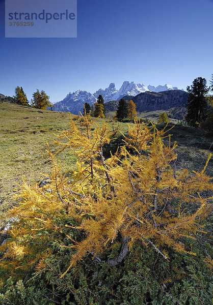 Herbstliche Landschaft  Sextener Dolomiten  Südtirol  Italien