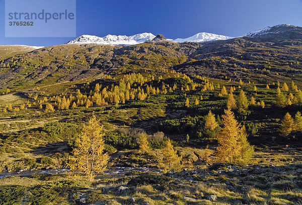 Herbstliche Landschaft am Staller Sattel  Osttirol  Österreich