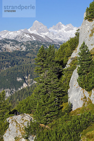 Dachsteinmassiv  Steiermark  Österreich