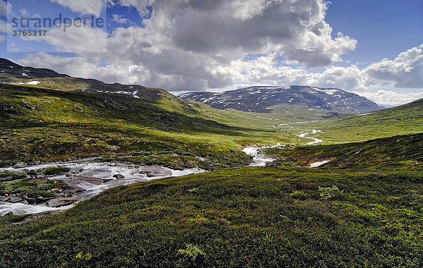 Dovrefjell-Sunndalsfjella-Nationalpark  Norwegen  Skandinavien  Europa