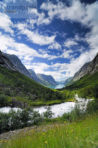 Fjord bei Stryn  Norwegen  Skandinavien  Europa