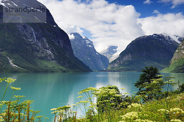 Fjord bei Stryn  Norwegen  Skandinavien  Europa