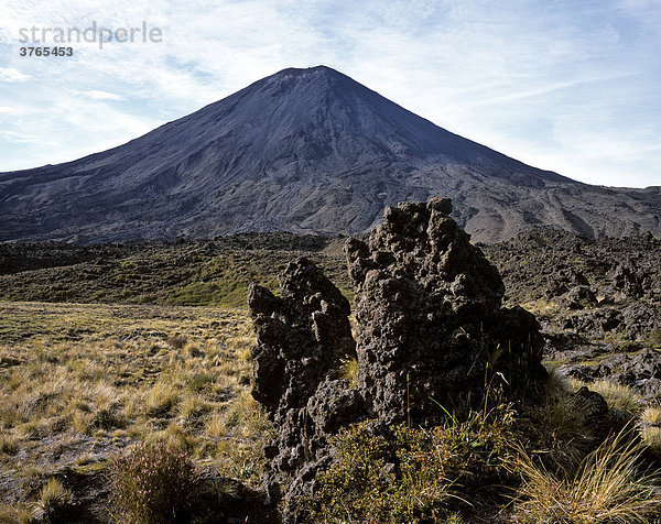 Tussockgras (Chionochloa rubra) mit Lavafelsen und dahinter der Mt. Ngauruhoe  Tongariro Crossing  Tongariro Nationalpark  Nordinsel  Neuseeland