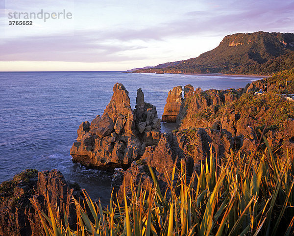 Pancake Felsen (Pancake Rocks  Pfannkuchenfelsen) an der Küste bei Sonnenuntergang  Punakaiki Nationalpark  Südinsel  Neuseeland