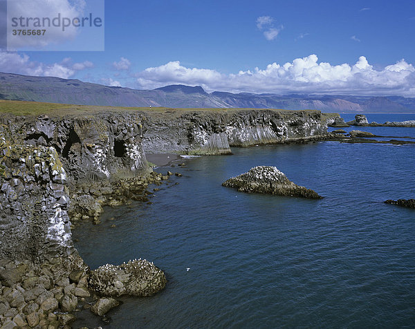 Klippenküste aus Basaltfelsen  Arnarstapi  Snaefellsnes Halbinsel  Island