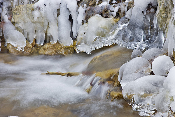 Eisformationen entlang des Baches in der Steinwandklamm  Niederösterreich  Österreich