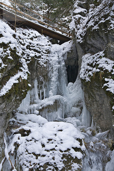 Eisformationen des Wasserfalles in der Steinwandklamm  Niederösterreich  Österreich