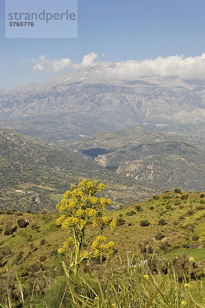 Blick zum Idagebirge bei Melampes  Kreta  Griechenland