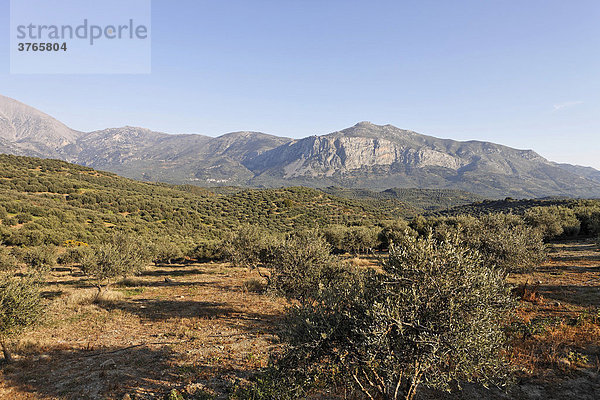 View of Mt. Dikte near Emparos  Crete  Greece  Europe