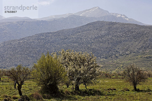 Lasithi Plateau and Mt. Dikte  Crete  Greece  Europe