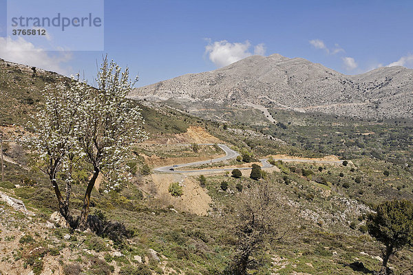 Bergstraße in Kreta  Griechenland