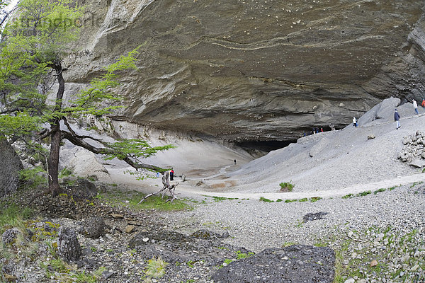 Mylodon Höhle  Cueva del Milodon  Patagonien  Chile  Südamerika