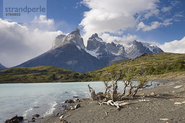 Felstürme Los Cuernos und Lago Nordenskjöld  Torres del Paine Nationalpark  Patagonien  Chile  Südamerika