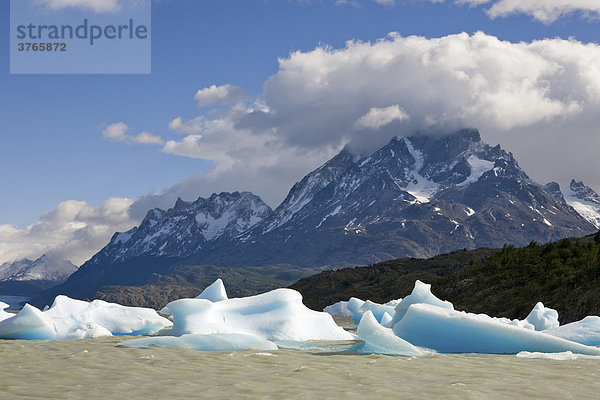 Eisberge und Berggipfel der Torres del Paine Grande vom Lago Grey aus gesehen  Torres del Paine Nationalpark  Patagonien  Chile  Südamerika