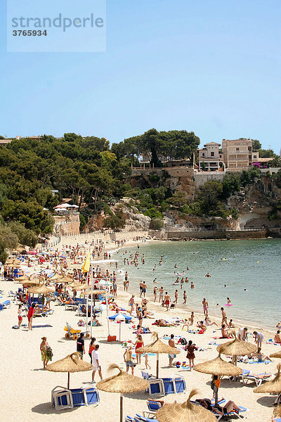 Strand von Porto Cristo  Mallorca  Spanien