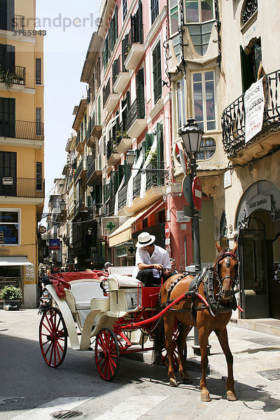Pferdekutsche  Palma  Mallorca  Spanien