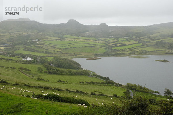 Regenschauer über irischer Landschaft am Fanad Head  Co Donegal Irland