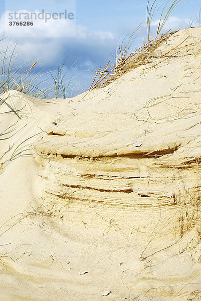 Vom Wind verpresste sandschichten in einer Sanddüne  Irland