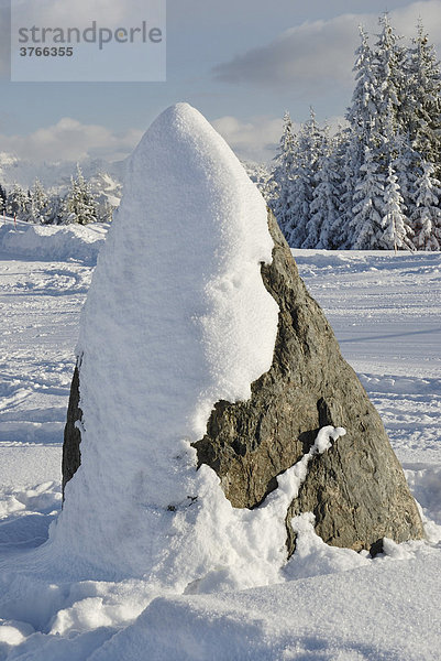 Eingeschneiter Grauwacken-Schiefer Gesteinsblock in den Kitzbühler Alpen