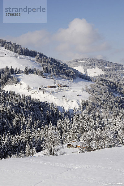 Tiroler Bergbauernhöfe auf Rodungsflächen in winterlicher Landschaft Wildschönau Tirol Östereich