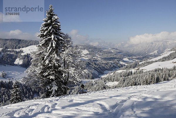 Skispuren im Tiefschnee mit Blick auf verschneite Wiesen und Wälder in der Wildschönau Tirol Österreich