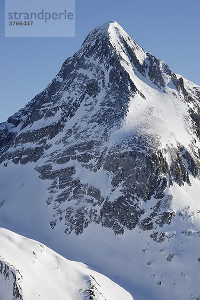 Schneebedeckte Gipfelpyramide des Brandenberger Kolm in den Zillertaler alpen Tirol Österreich