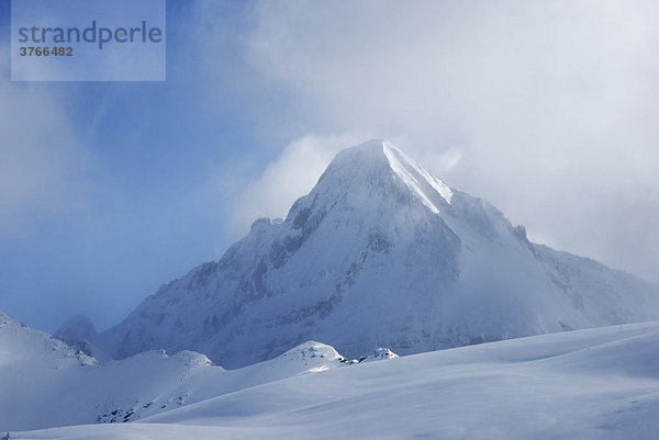 In Eisnebel gehüllter  schneebedeckter Berggipfel des Brandenberger Kolms in den Zillertaler Alpen Tirol Österreich