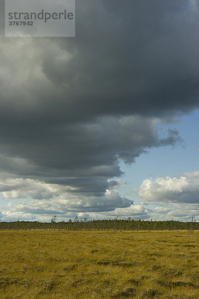 Moor  Wolken  Unwetter  Pyha Häkki Nationalpark  Finnland