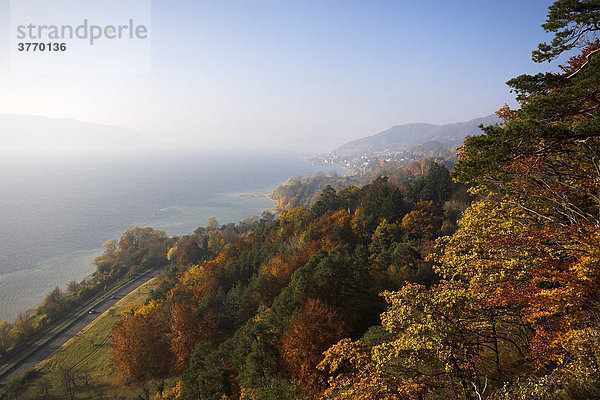 Ausblick von der Überlinger Steiluferlandschaft auf Bodensee und Uferstraße  Bodenseekreis  Baden-Württemberg  Deutschland