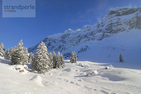 Winterlandschaft in den Schweizer Alpen - Kanton Appenzell Ausserrhoden  Schweiz  Europa.