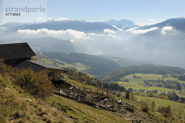 Berge mit tief hängenden Nebelschwaden und Bauernhof mit Kühen im Vordergrund  Dolomiten  Pustertal  Südtirol  Italien