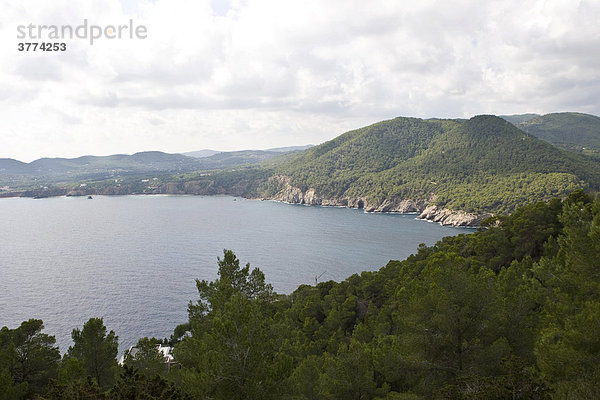 Bucht bei Cala san Vincente  Ibiza  Balearen  Spanien