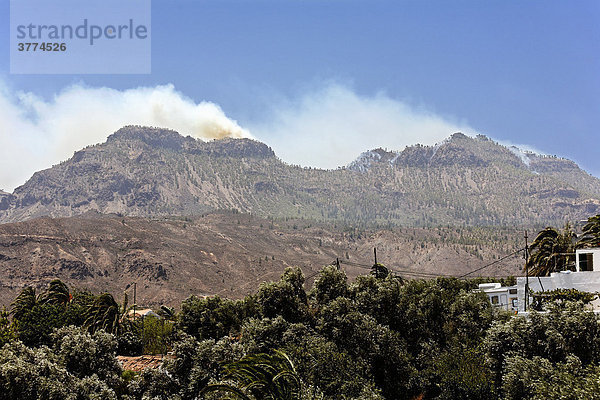 Forest fires  Gran Canaria  Spain