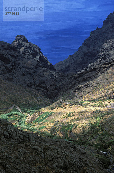 Teno-Gebirge  Los Carrizales  Teneriffa  Kanarische Inseln  Spanien