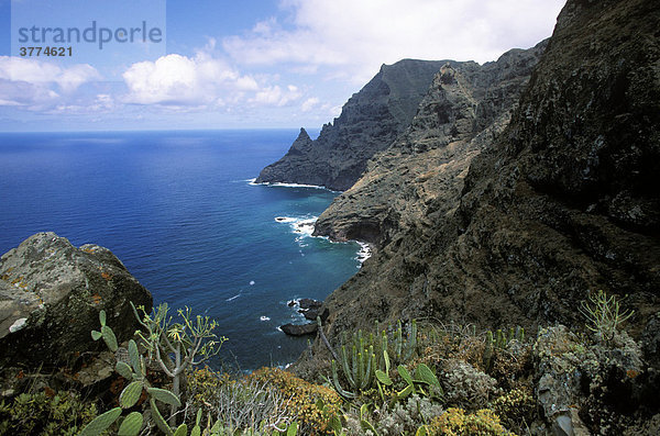 Anaga-Gebirge  Punta del FrontÛn  Teneriffa  Kanarische Inseln  Spanien