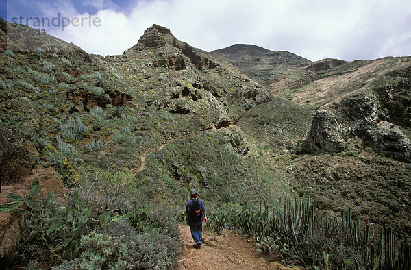 Wanderweg in Anaga-Gebirge  Teneriffa  Kanarische Inseln  Spanien