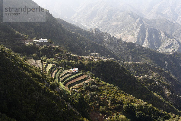 El Tion bei Vallehermoso  La Gomera  Kanaren  Spanien