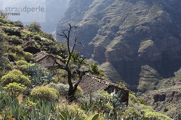 El Azadoe bei Imada  Barranco de Guarimiar  La Gomera  Kanaren  Spanien