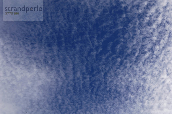 Altocumulus cloud (AC) größere Schäfchenwolke