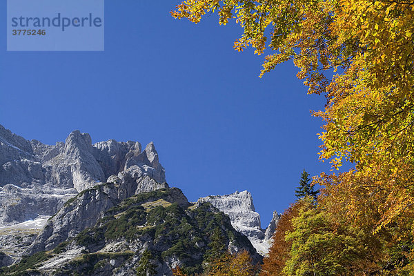 Herbst im Karwendelgebirge  Alpen  Österreich